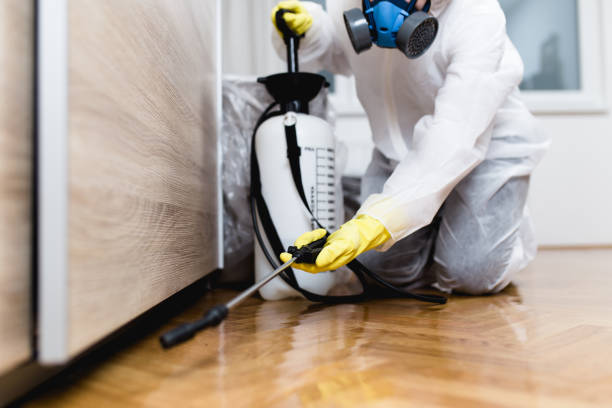 Best Pest Prevention Services  in Ontario, CA