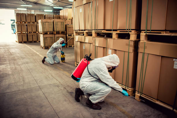 Best Insect Control  in Ontario, CA