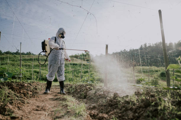 Best Commercial Pest Control Services  in Ontario, CA