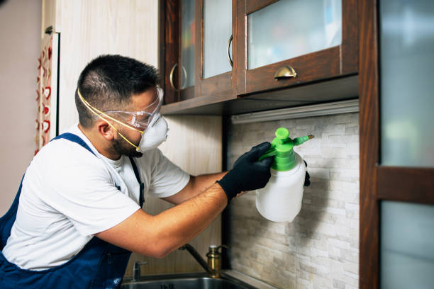 Best Wildlife Control Services  in Ontario, CA