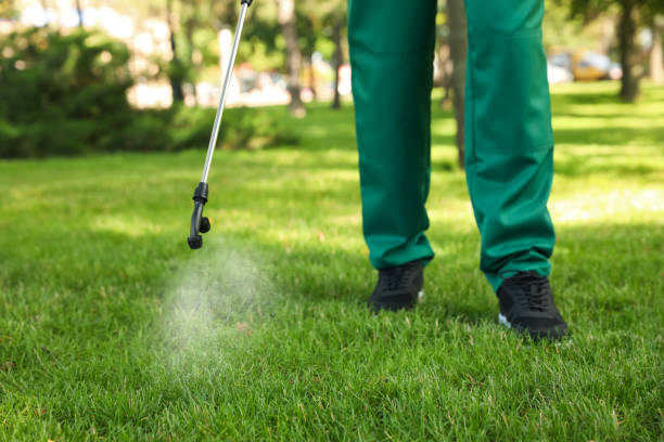 Best Flea Control Services  in Ontario, CA