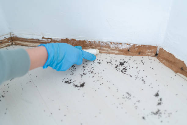 Best Mosquito Control Services  in Ontario, CA
